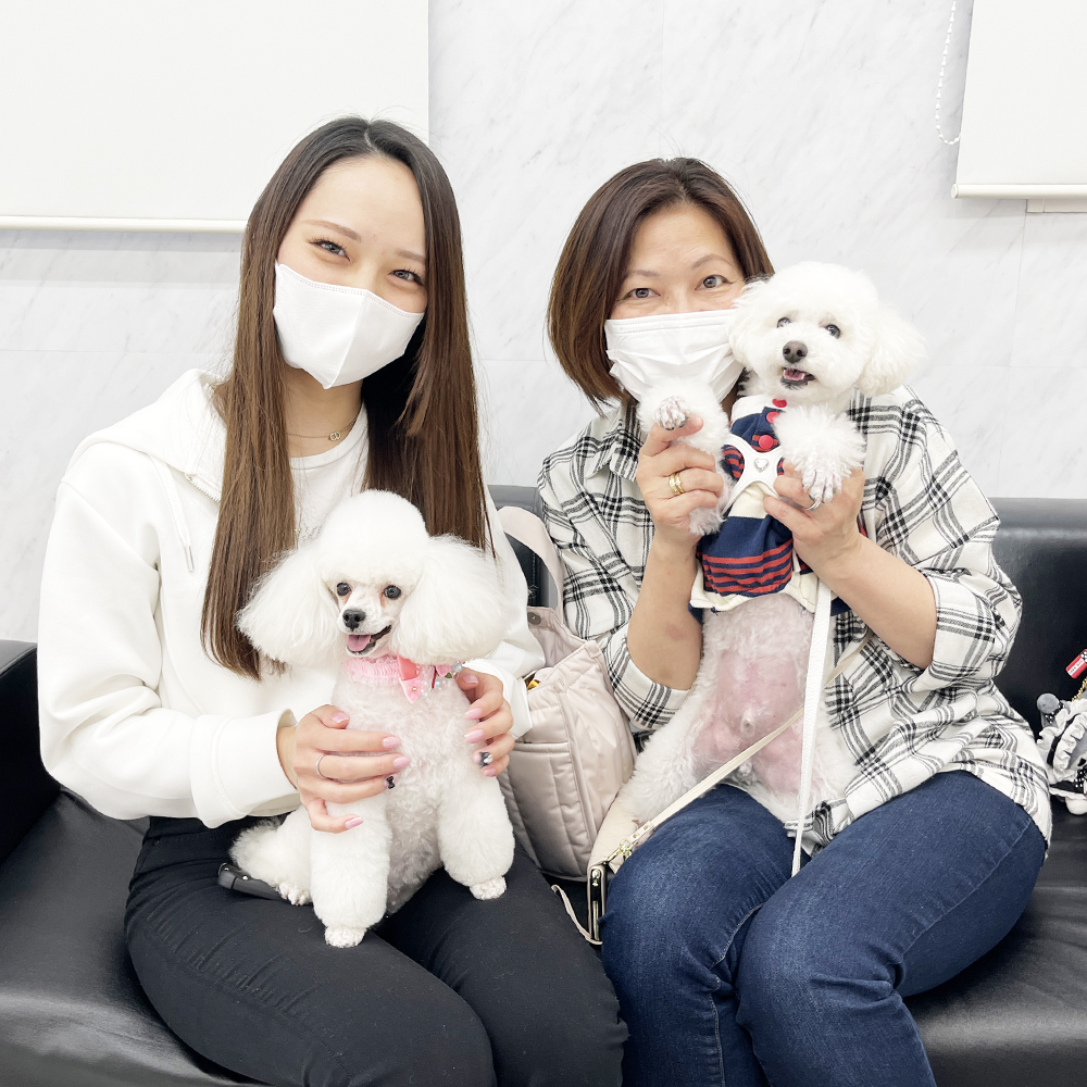 モデル犬の新しいおうちが決まりました！PART③